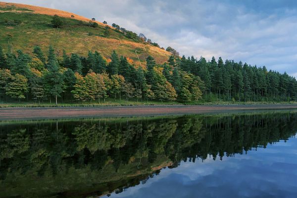 Dissolved Organic Carbon