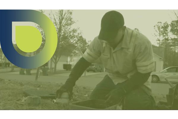 Collaboration & Support