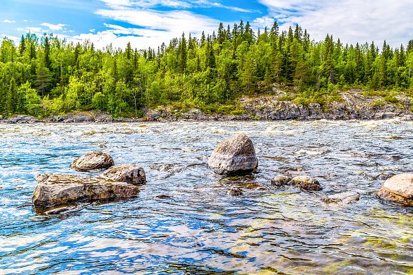 Water Pollution and Environmental Monitoring 