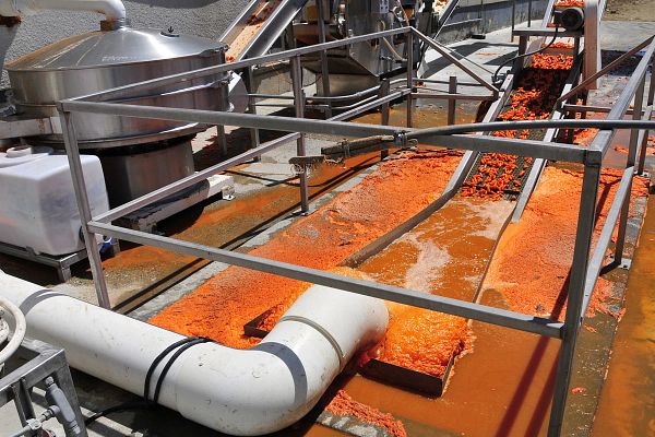 Food and beverage manufacturing facility