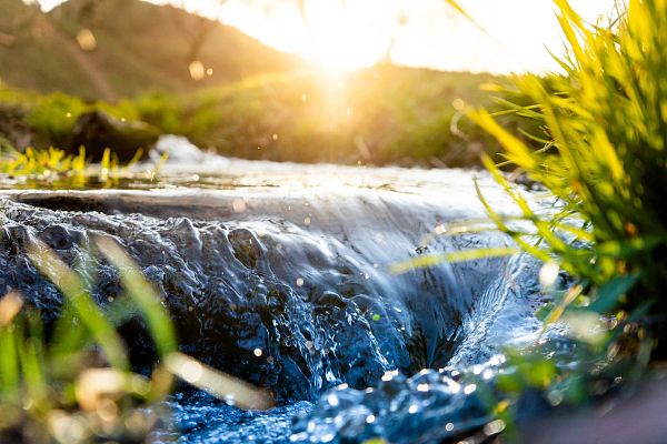 Spring background stream of water in the forest