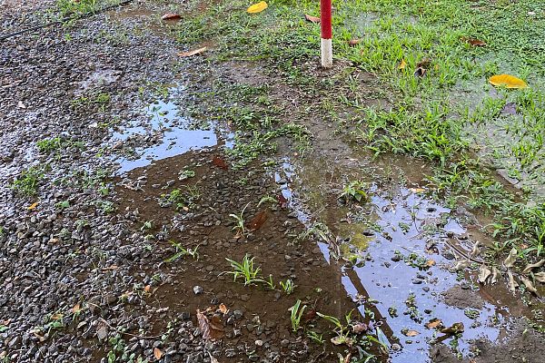 Water pipe leak evident on on green grassy ground